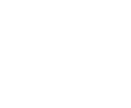 Bull Run logo