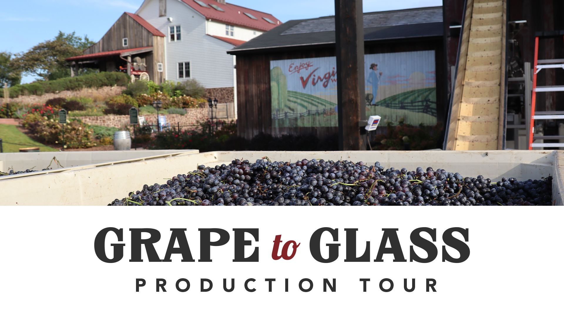 grape to glass tour web