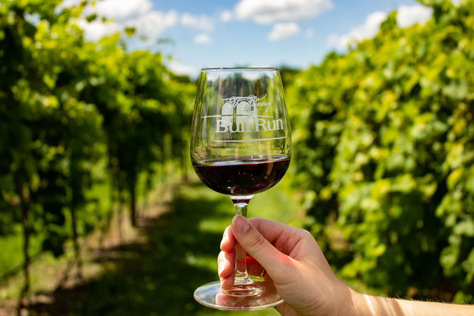 Tours & Tastings - The Winery at Bull Run