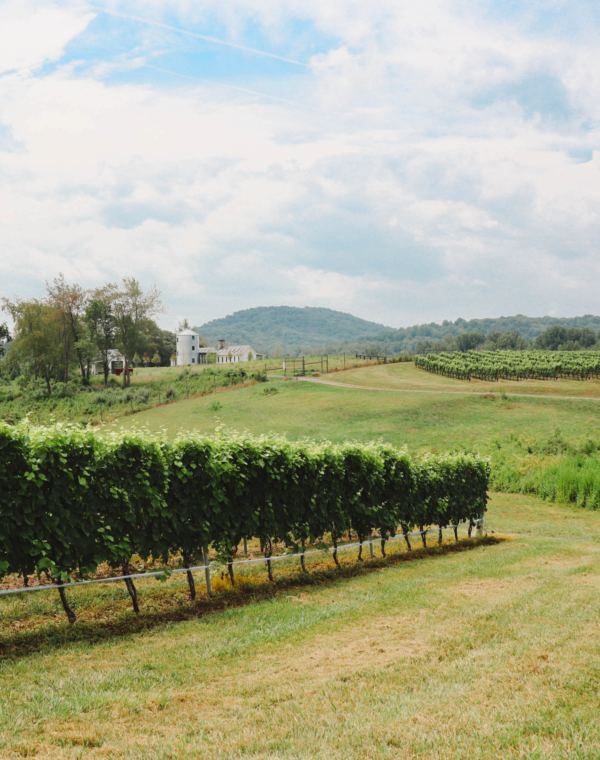 Rock Mill Reserve - The Winery at Bull Run