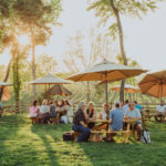 Winery Ambience