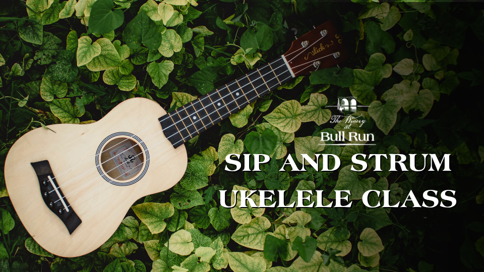 Sip & Strum Ukelele Class